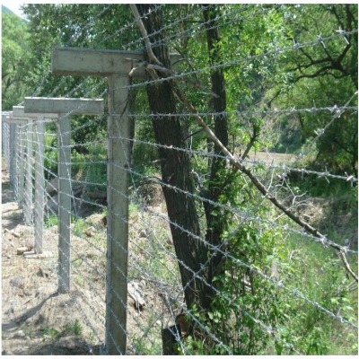 �������̷��I�F�z�W���̴��Kɽ�ش��K���W