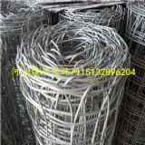 �����I�V�ý����W�������V�þ�����ȫ�W�S��