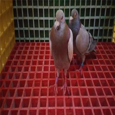 �ӱ�����䓸�Ű�S�ҹ����½���ˮ�S��Ş���ľ�R�����ˮ���w��