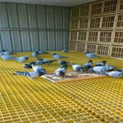 �ӱ�����䓾W(w��ng)���S�ҹ���(y��ng)�_������䓸�Ű��_������䓾W(w��ng)���