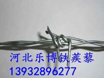 �㽭��\���K�S�� ��2.5���׵�·�B(y��ng)�o(h��)䓽z�W(w��ng)