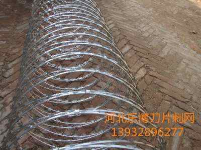 ���ϱO�z�������o�v�R�꿴�����������o