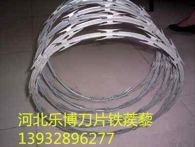 ���Ϸ��o��Ƭ�̾W�����O�z���o�W