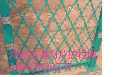 �����O�z�������o�G�ݿ������������o