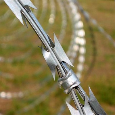 ɽ�|���P��Ƭ���K�|�I(y��ng)���P䓷����̾W(w��ng)