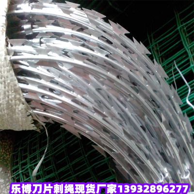 �V�|���I�̻��ݷ����̇������^�O�z���o�W