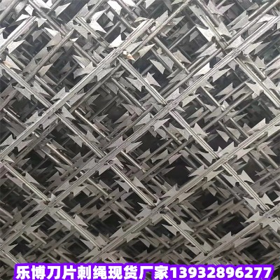 �V�|���I�̎���ƽ���o�W��ɽ�������������o