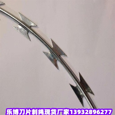 ɽ�|���P䓵�Ƭ�̾W���������W��̩�L�\����