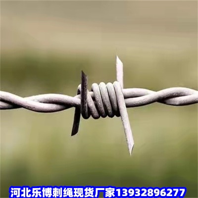 ���ɹŇ��������̺��ͺ��ع�·�̾W���^��\䓽z�W