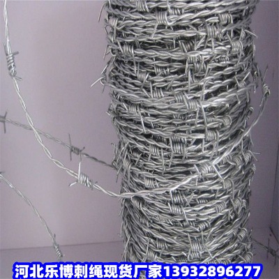 ���������ٹ�·�д��F�z�WĮ�ӾGɫ�F��޼��c���̇���