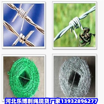 �������ٹ�·�F�z�W(w��ng)�ϰ����܎����F�z�W(w��ng)�������ٹ�·䓽z�W(w��ng)