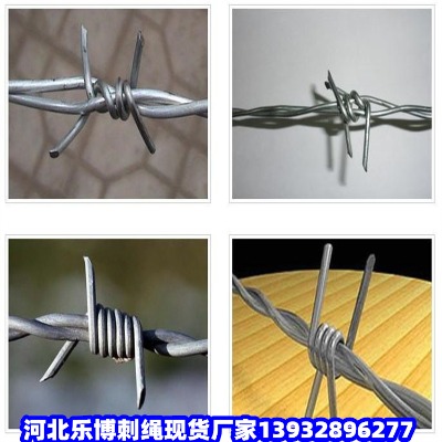 �����@�־G�����x�W�������K�̾������p����\���K