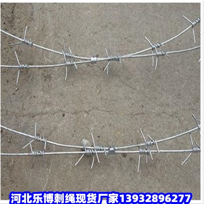 ɽ�|�̽z���W(w��ng)�s����޼������ɽȦ���F��޼