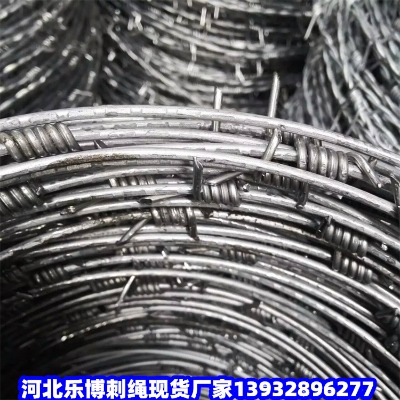 ������޼���ڽ�����·�̾W�Q�ڷ����̾W