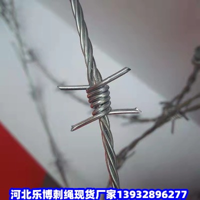 �����̾����F�z�G�ݲ��P��F�z�W(w��ng)�S����·�B(y��ng)�o�F�z�W(w��ng)