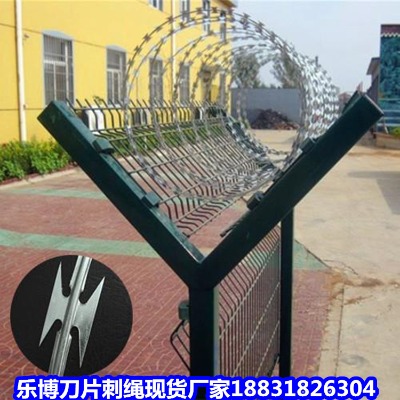 ������\���K�S�� �S�ǵ�Ƭ�̽z ���䵶Ƭ�̽z�L�\