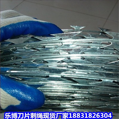 �V�|��\���K�S�� տ�����o(h��)��Ƭ�̾W(w��ng) ï�����I�W(w��ng)