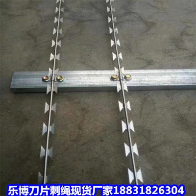 ��������\���K�S�� ���Һӎ������� ���և������o