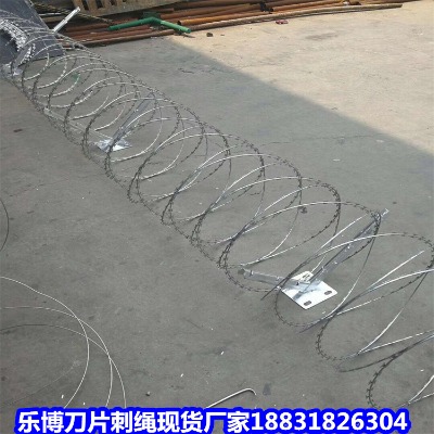 �|����\���K�S�� ��ꖲ��P䓵�Ƭ�̾W ���B���P䓵�Ƭ���K