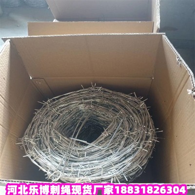 �V�|��\���K�S�� ���T��·�B�o�����F�z�W �ؑc��·�B�o�F�z�W