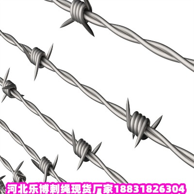 �V�|��\���K�S�� ��β��·䓽z�W(w��ng) տ����·���F�z