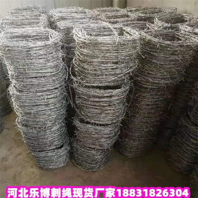 ���ɹ���\���K�S�� ����ʯ12̖С�^���^���I�W