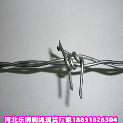 �ӱ���\���K�S�� ����\���F�z ¹Ȫ��\䓽z�W(w��ng)