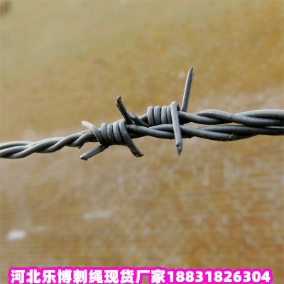 ������\���K�S�� ���c14̖��\�д��F�z�W