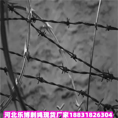 ������\���K�S�� ����5�������\䓽z�W(w��ng)