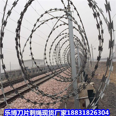 �Ĵ���\���K�S�� �Ű�����\�̽z�L�\ �V�����P䓷����̾W(w��ng)