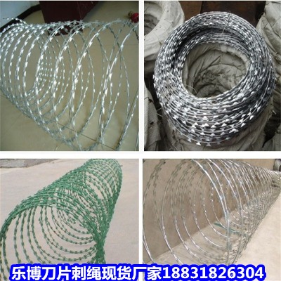 ������\���K�S�� ��ꖷ����̾W ������I�̎�