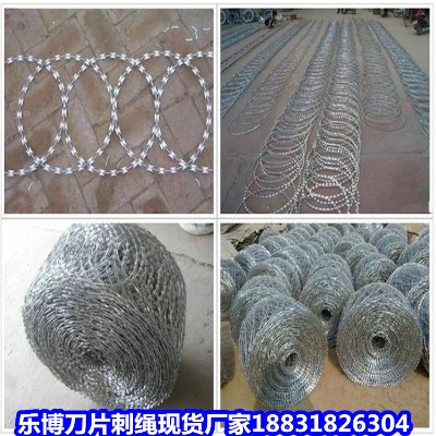 ɽ�|��\���K�S(ch��ng)�� ����12̖(h��o)�����W(xu��)УС�^(q��)���I�W(w��ng)