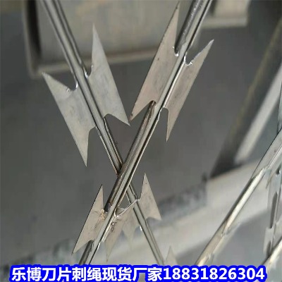 �_����\���K�S�� �_��12̖����\��Ƭ���K