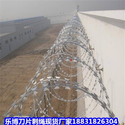 �_����\���K�S�� ���m10�������\��Ƭ�̾W