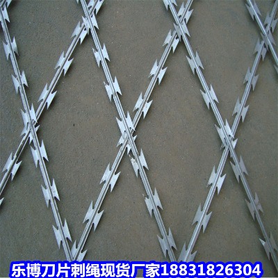 �½���\���K�S�� ���͟���\������Ƭ���K �F�T(m��n)�P(gu��n)���o(h��)��Ƭ�̾W(w��ng)