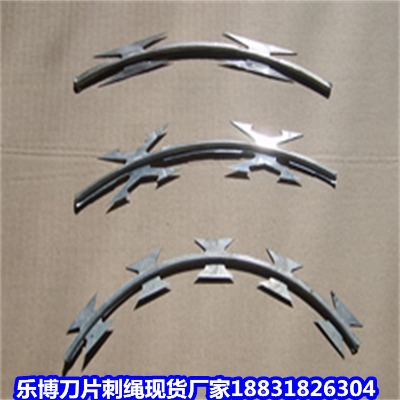 ���C��\���K�S�� ��Ȫ8����������S�����W