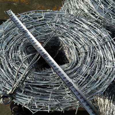 �ӱ�����\���K�F؛�S��