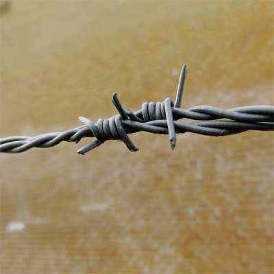 �ӱ�����\���K�F؛�S�ҏV�������F�z���ݟ���\���F�z