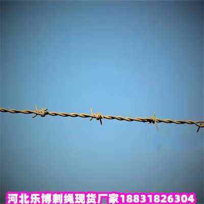 ��ƽ����\���K�F؛�S�҃��ɹ�������F�z�W�����ư���䓽z�W