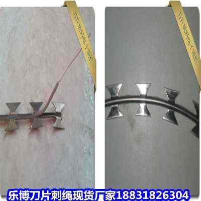 �ӱ�����\��Ƭ���K�F؛�S�Һ�������������Į�ӱO�z�������o