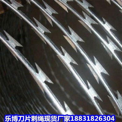 �ӱ�����\��Ƭ���K�F؛�S���㽭��\��Ƭ���K��������\��Ƭ�̾W