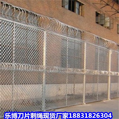 �ӱ�����\��Ƭ���K�F(xi��n)؛�S�Ұ��Շ��������̝�ɽ��ȫ���o(h��)�W(w��ng)