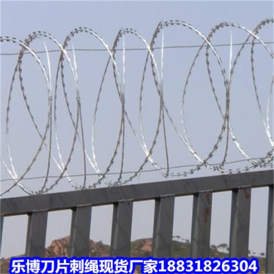 �L����\��Ƭ���K�S��12̖�z���I��Ƭ���K��������