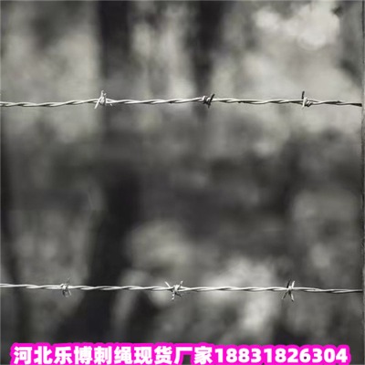 ������\���K�S��5������\���K��������