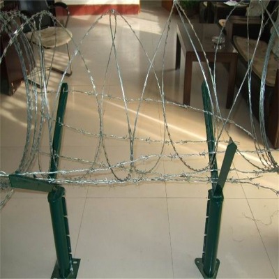 �y����\��Ƭ�̽z�L�\�S�����l��\�LͲ