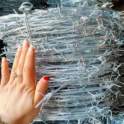 ���ͺ�����\�F��޼�S�Ҟ��m���ظ��ٹ�·�F�z�W