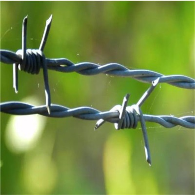 ������\�F��޼�S�����l��޼�����Q���д��F�z�W