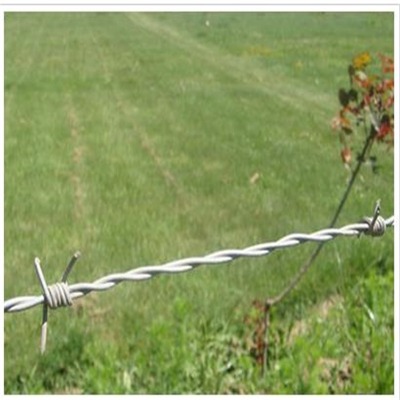 �ؑc��\�F��޼�S��������\���F�z��ɿ���\�F��޼