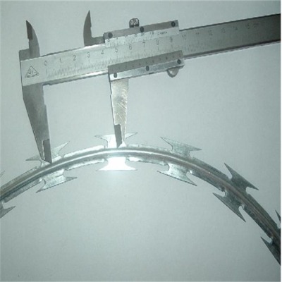 �Lɳ��\��Ƭ���K�S�ұ��ݲ��P䓵�Ƭ�̾W���ݲ��P䓵�Ƭ���K