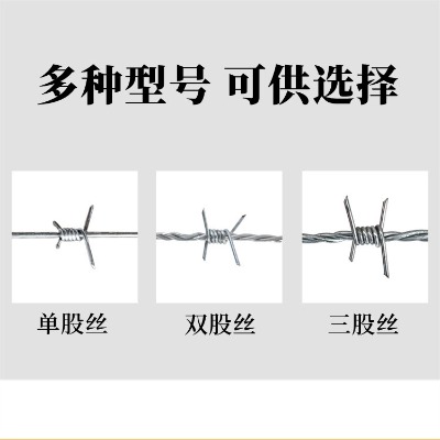 ������\�����F�z�W�DƬ